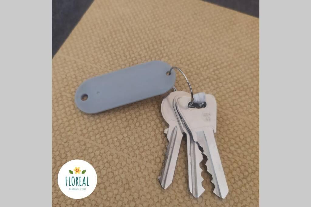Cedeira Apartamento - Floreal Екстер'єр фото